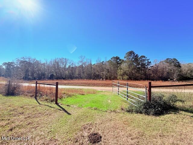 John Smith Rd Mount Mount Hermon, LA 70450 - Photo 32 of 36 IMG_2366