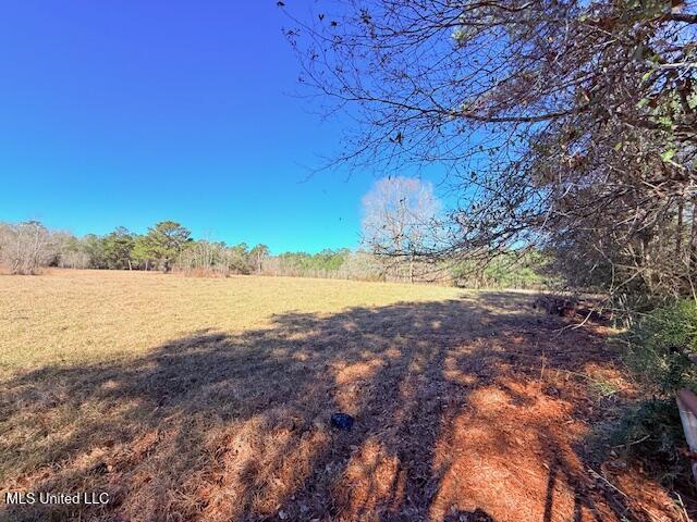 John Smith Rd Mount Mount Hermon, LA 70450 - Photo 33 of 36 IMG_2370