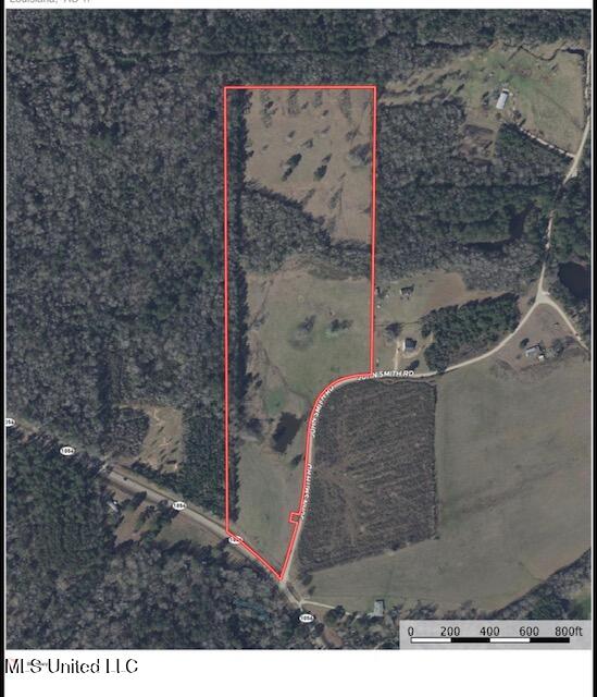 John Smith Rd Mount Mount Hermon, LA 70450 - Photo 34 of 36 IMG_2450