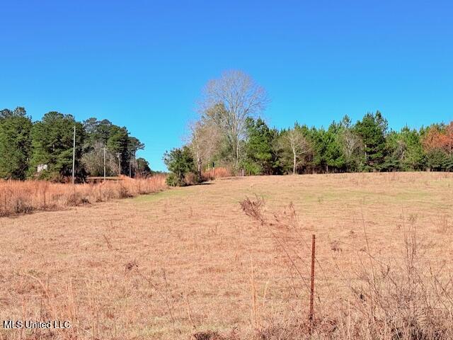 John Smith Rd Mount Mount Hermon, LA 70450 - Photo 4 of 36 IMG_2331