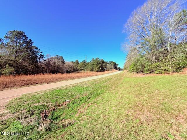 John Smith Rd Mount Mount Hermon, LA 70450 - Photo 5 of 36 IMG_2332