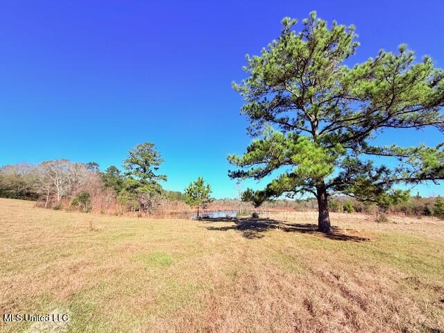 John Smith Rd Mount Mount Hermon, LA 70450 - Photo 7 of 36 IMG_2336