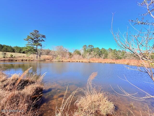 John Smith Rd Mount Mount Hermon, LA 70450 - Photo 9 of 36 IMG_2338