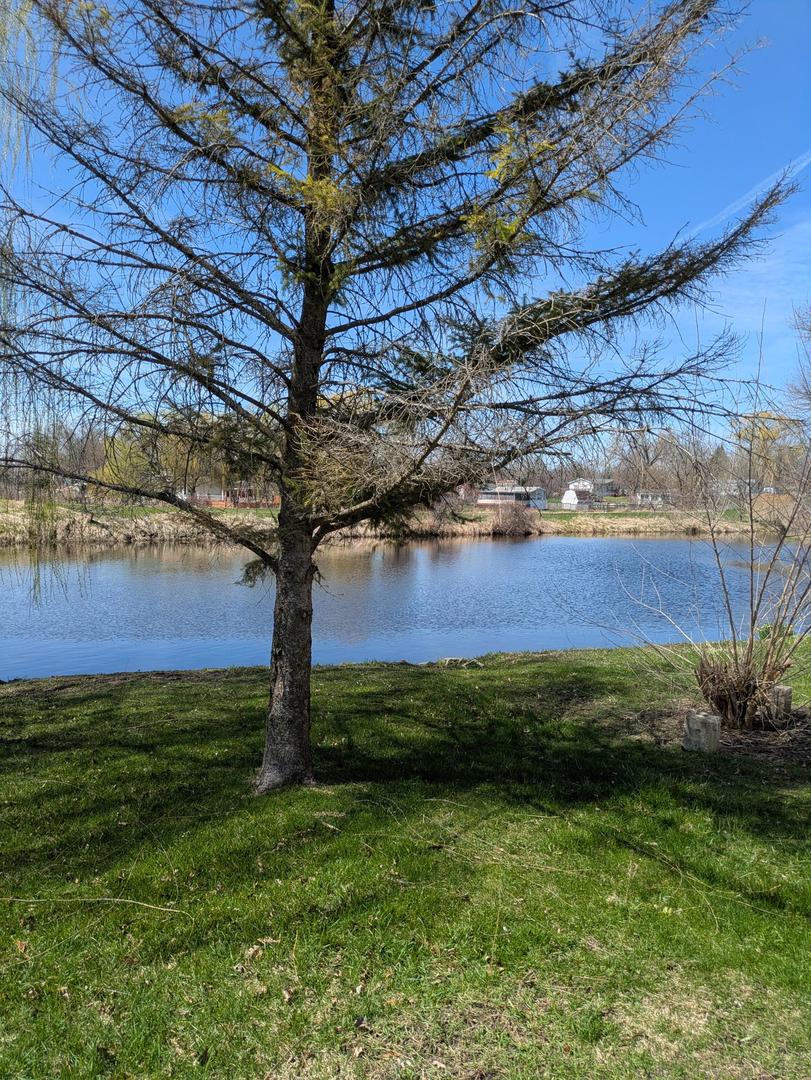 54 Beacon Bay Road Lakemoor, IL 60051 - Photo 7 of 7