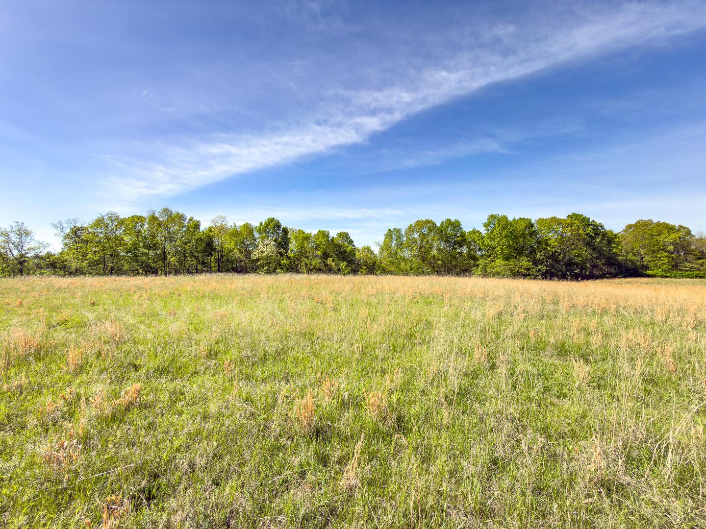 2 Perry Ridge Road Wilkesville, OH 45695 - Photo 10 of 27 Perry Ridge Rd Tract 2-5