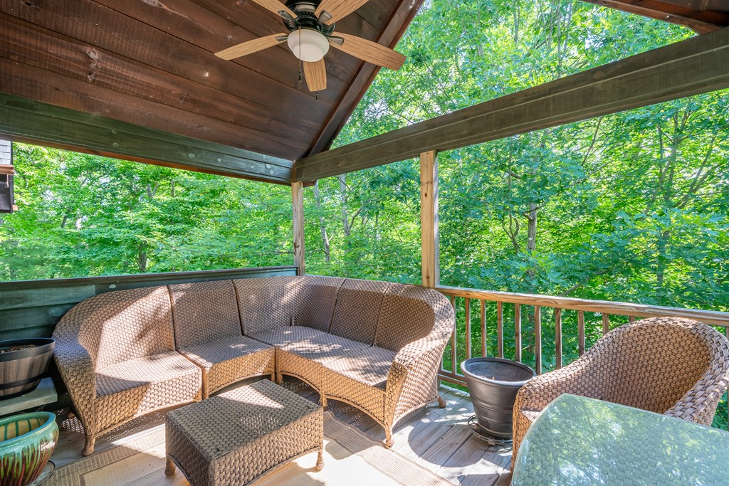 135 Diamond Back Ridge Blue Ridge, GA 30513 - Photo 41 of 60 Gallery Image 41