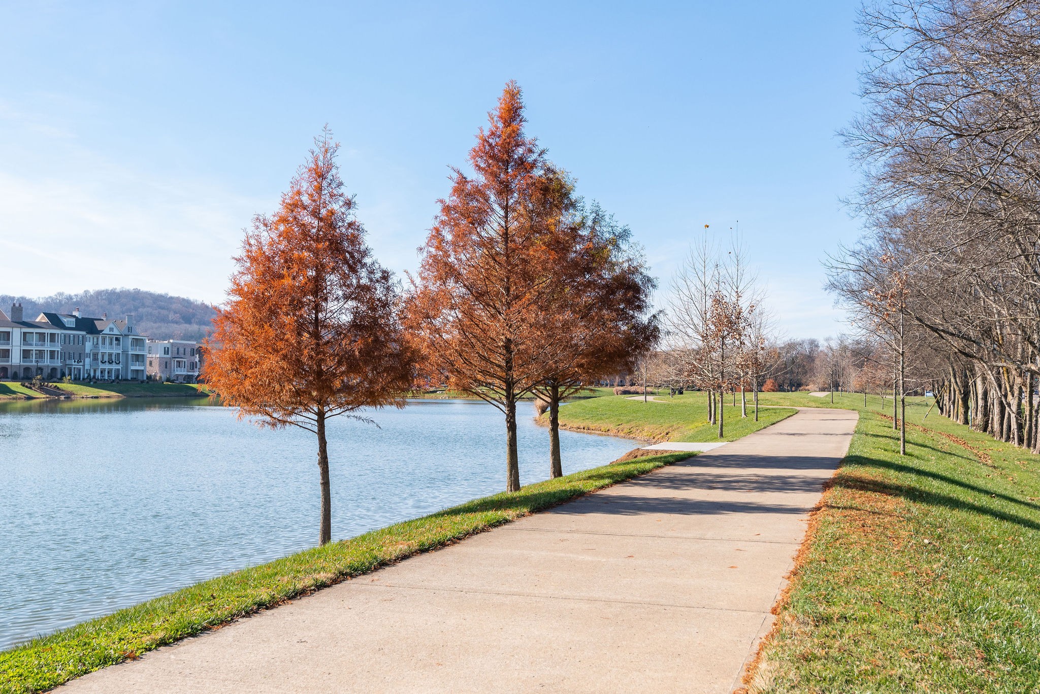 1031 Howland Street Franklin, TN 37064 - Photo 43 of 69