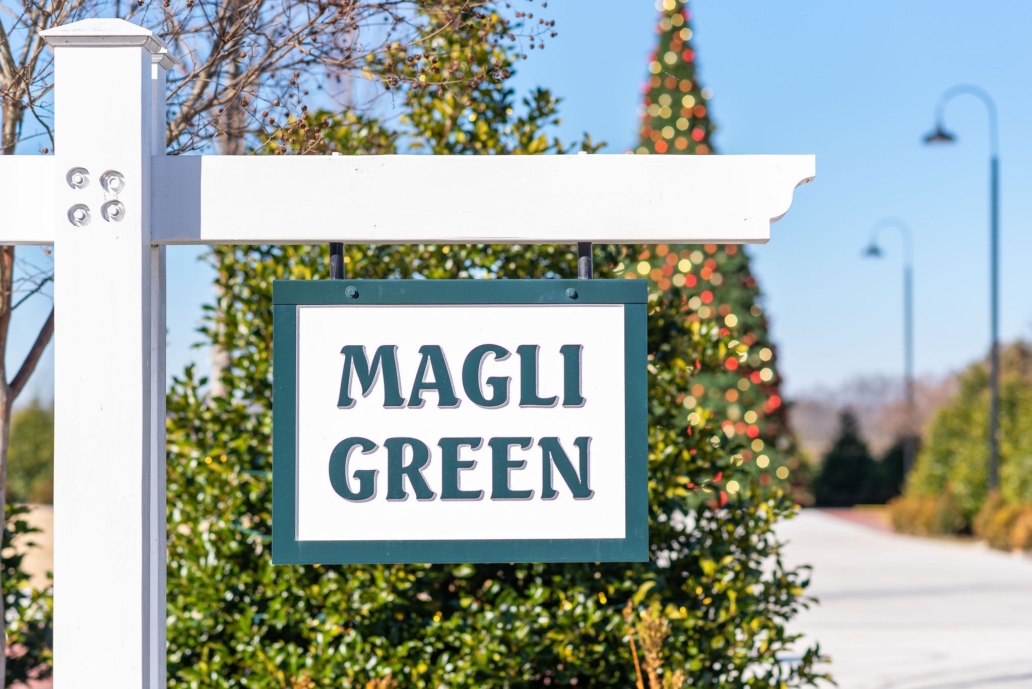 1031 Howland Street Franklin, TN 37064 - Photo 47 of 69