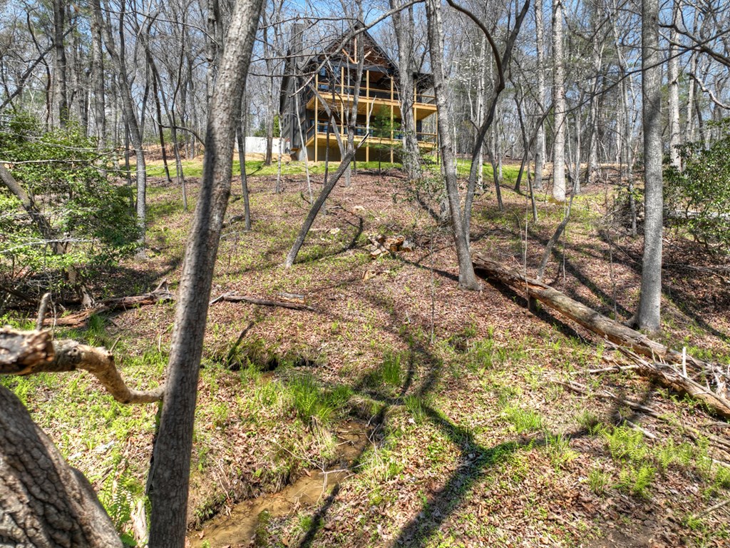 158 Spring Run Drive Blue Ridge, GA 30513 - Photo 48 of 88