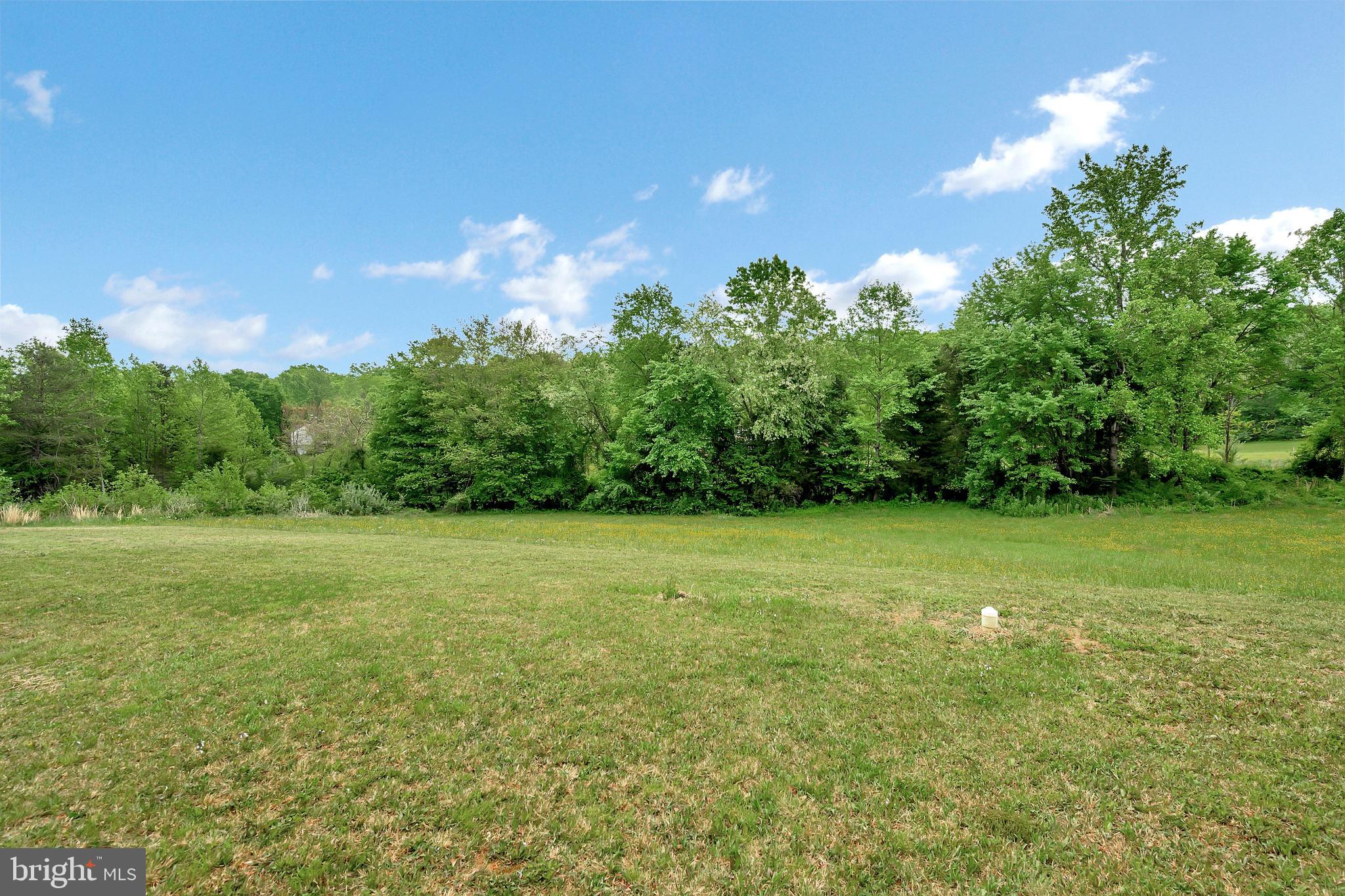 12063 Obannons Mill Road Boston, VA 22713 - Photo 4 of 38 1.41 Acres just for you