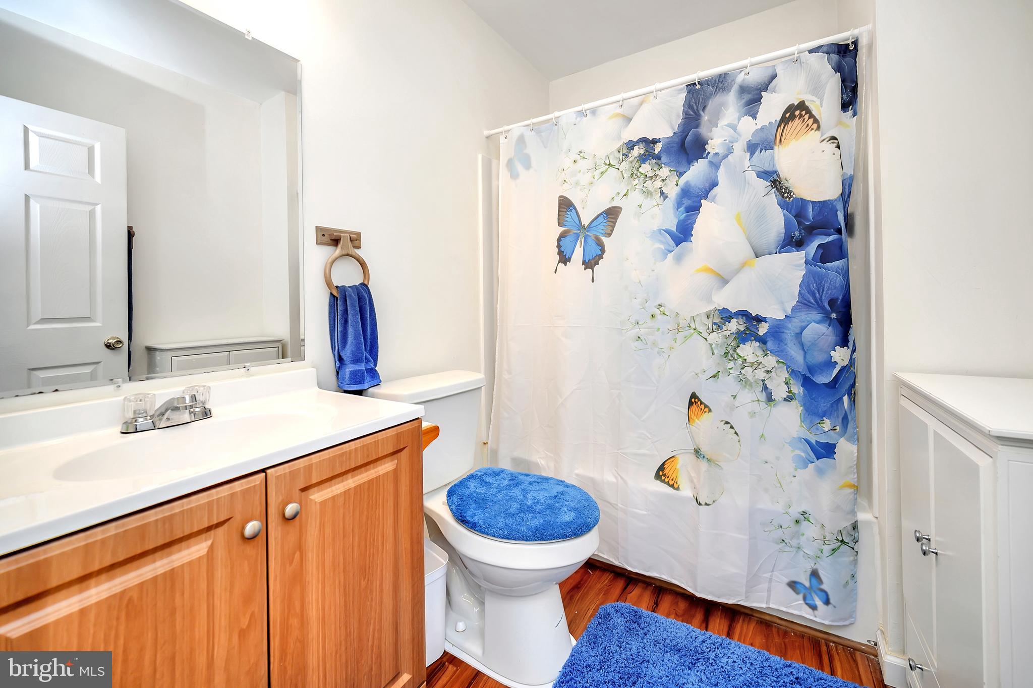12063 Obannons Mill Road Boston, VA 22713 - Photo 37 of 38 Lower level full bath