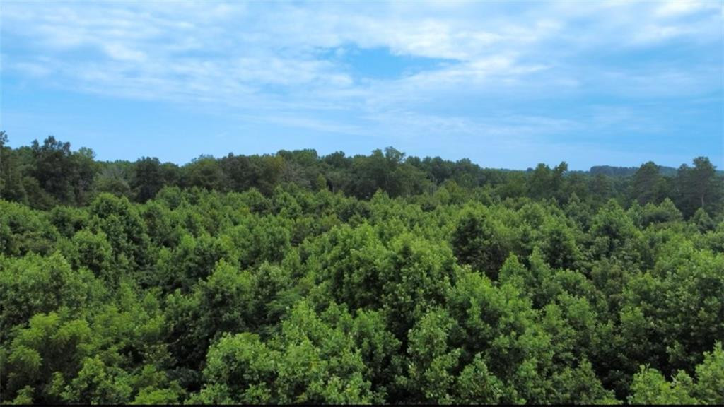 0 Willard Road Staley, NC 27355 - Photo 2 of 3 an aerial view of a city