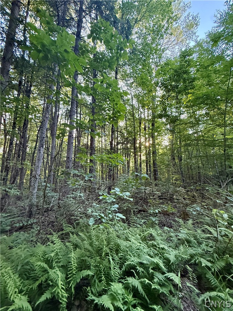 9191 Furman Mills Road Brookfield, NY 13460 - Photo 23 of 30