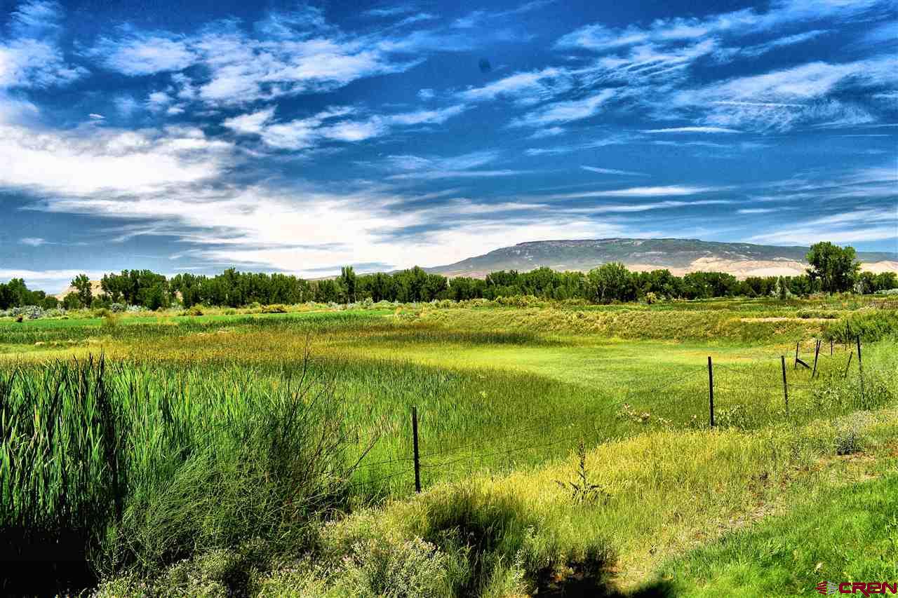 5671 Sawmill Mesa Road Delta, CO 81416 - Photo 11 of 25 Gallery Image 11
