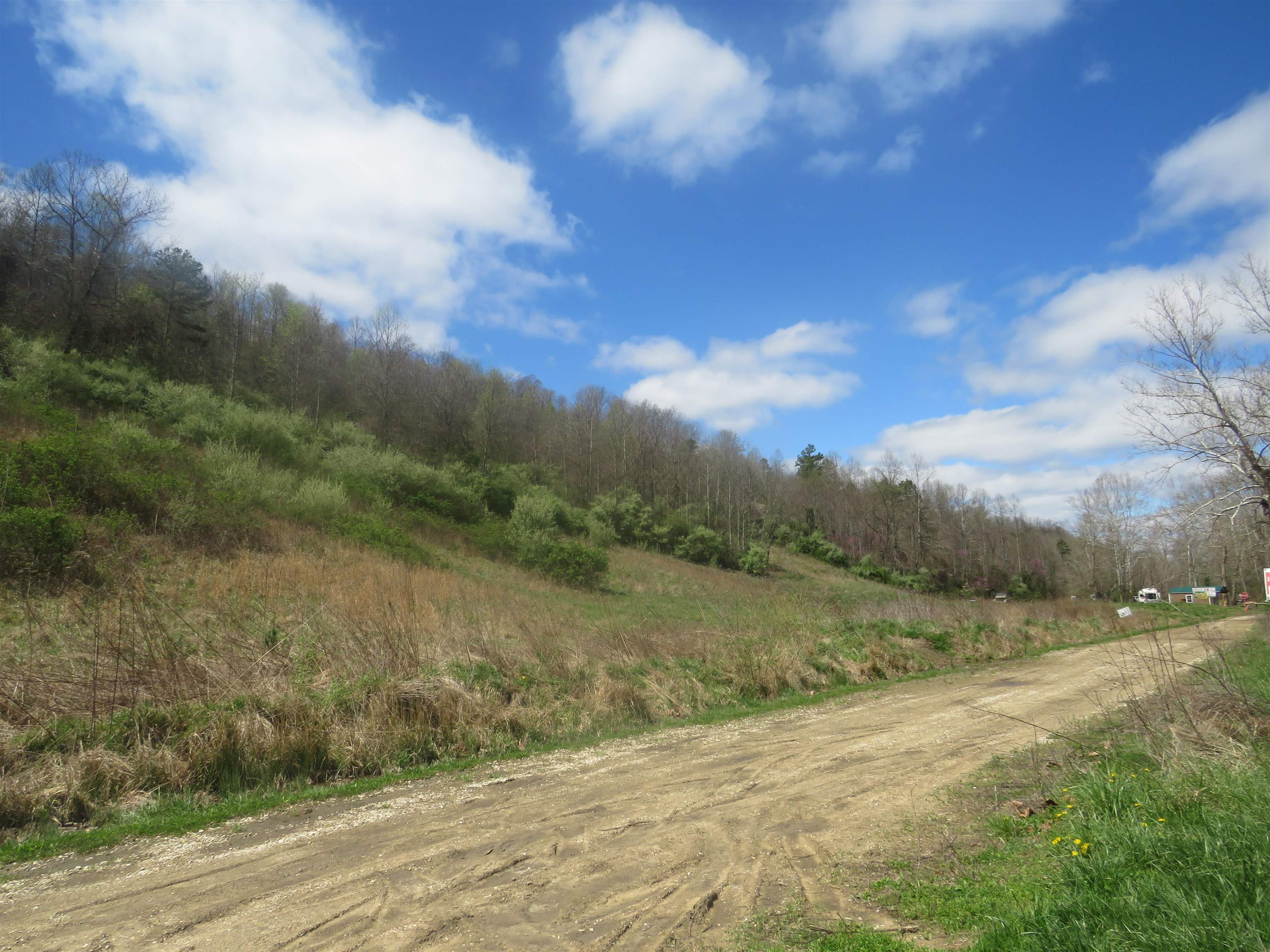 60 Us Grayson, KY 41164 - Photo 6 of 12