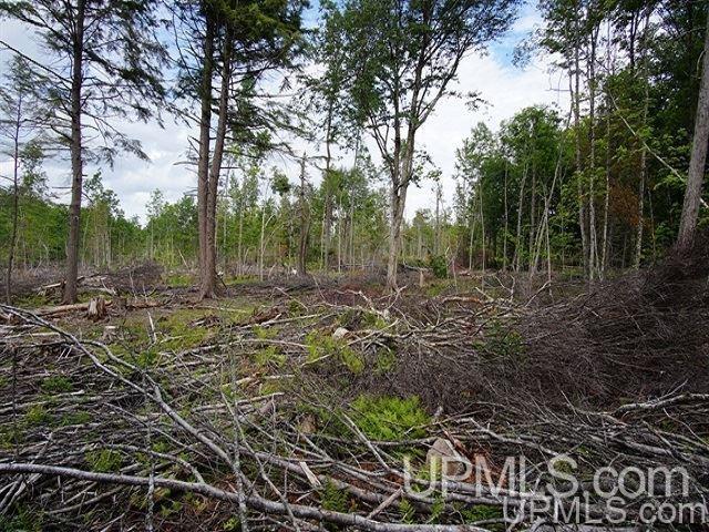 40-acres Co Rd 467 Germfask, MI 49836 - Photo 13 of 22