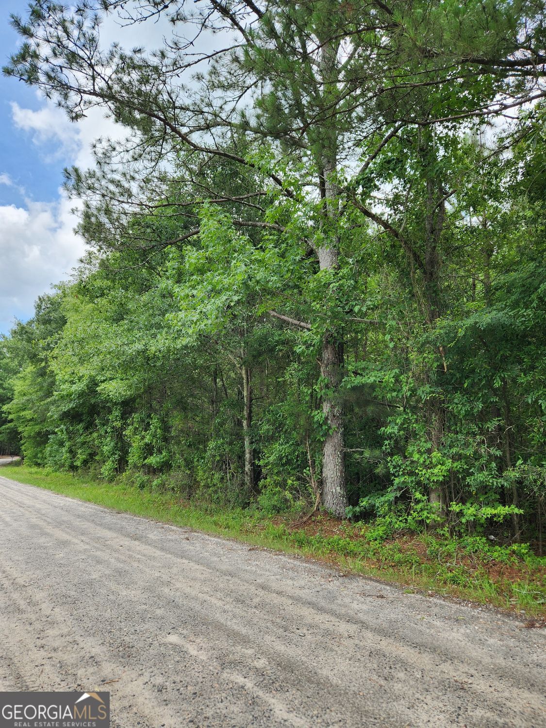 0 Barton Bridge Road, Unit LOT 6 Monroe, GA 30655 - Photo 2 of 5