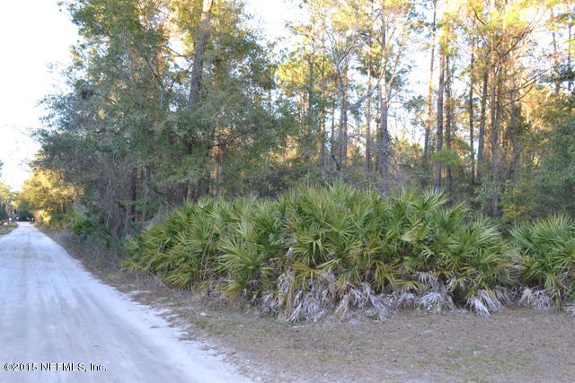 0 Wall Road Green Cove Springs, FL 32043 - Photo 12 of 13 Southwest Corner of Wall Rd
