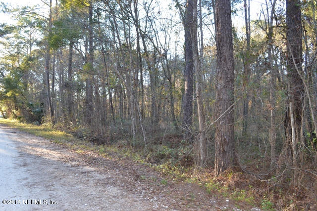 0 Wall Road Green Cove Springs, FL 32043 - Photo 13 of 13 Looking S. Portion of Wall Rd 18.5 Acres