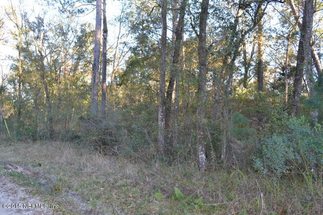 0 Wall Road Green Cove Springs, FL 32043 - Photo 6 of 13 North Portion of Brown Rd 24.59 Acres