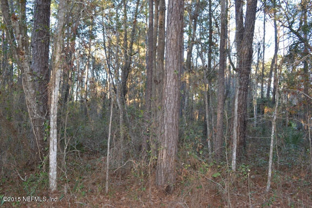 0 Wall Road Green Cove Springs, FL 32043 - Photo 9 of 13 Presently Zoned Timberland