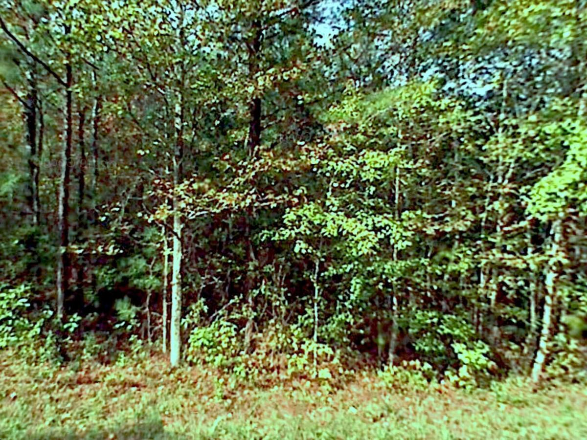 0 Turner Road Rome, GA 30165 - Photo 1 of 1 a view of a tree