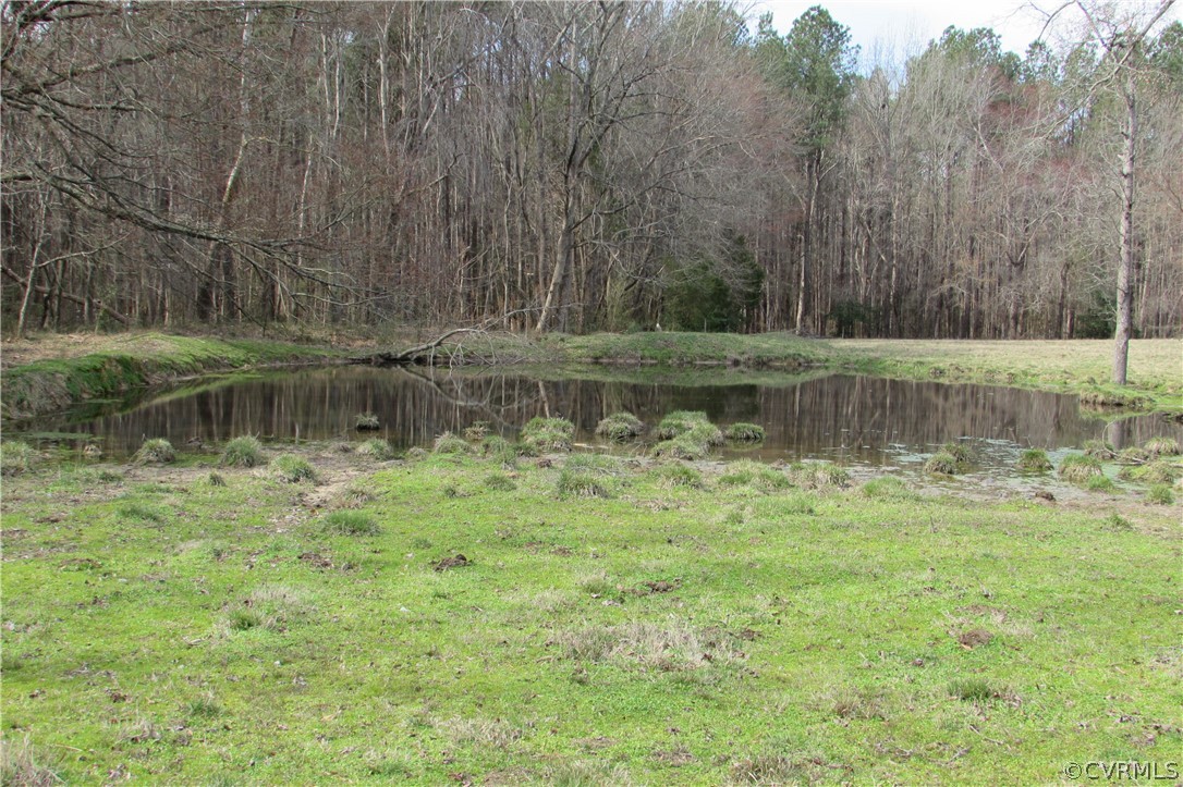12619 Lew Jones Road Dewitt, VA 23840 - Photo 17 of 22