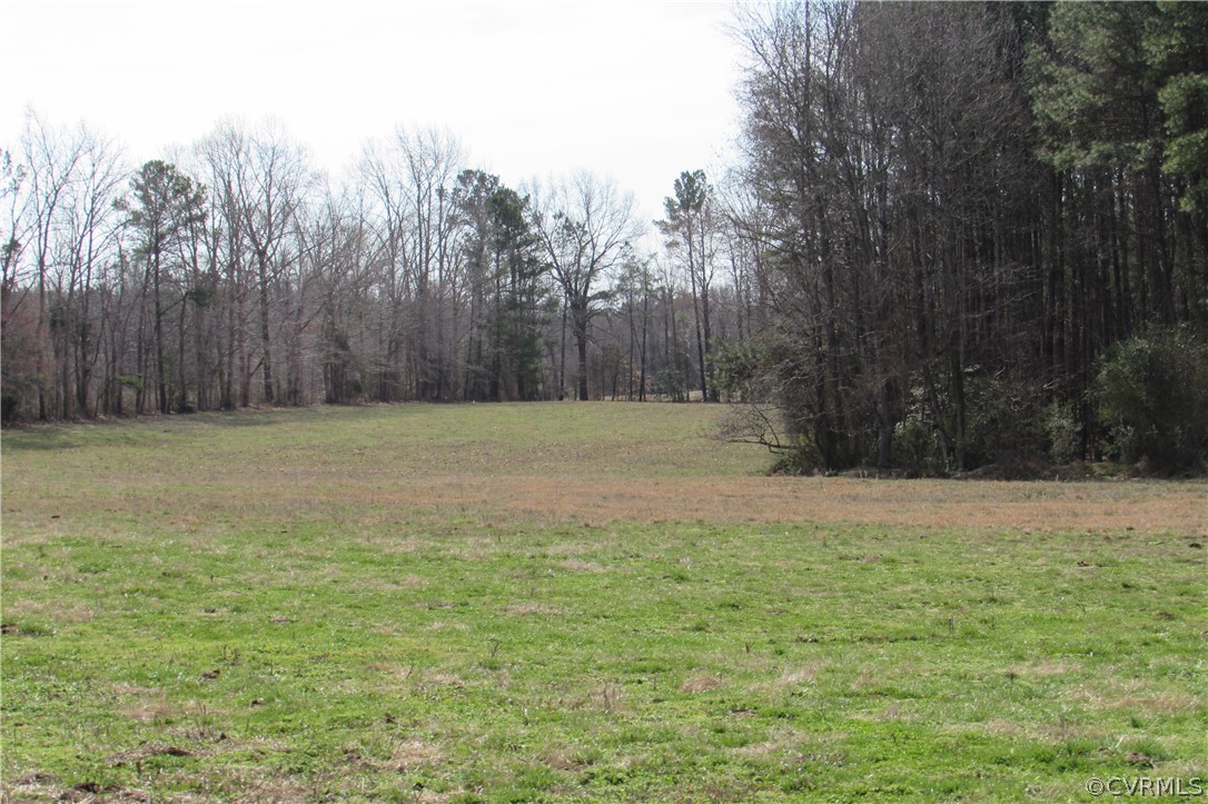 12619 Lew Jones Road Dewitt, VA 23840 - Photo 2 of 22 rear field