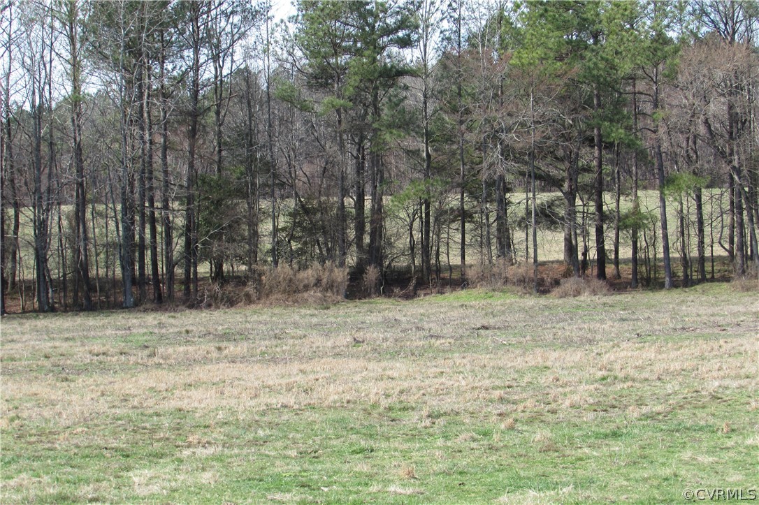 12619 Lew Jones Road Dewitt, VA 23840 - Photo 3 of 22 looking from one field to the other