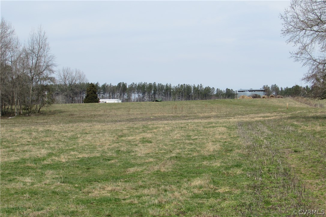 12619 Lew Jones Road Dewitt, VA 23840 - Photo 4 of 22 from the rear field looking toward the road