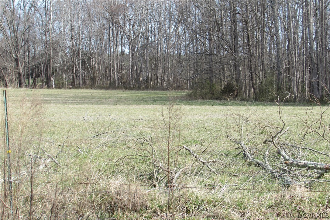 12619 Lew Jones Road Dewitt, VA 23840 - Photo 5 of 22 hay field