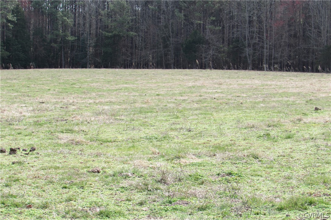 12619 Lew Jones Road Dewitt, VA 23840 - Photo 8 of 22