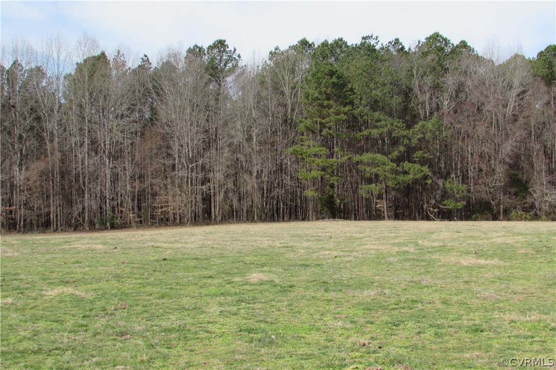 12619 Lew Jones Road Dewitt, VA 23840 - Photo 9 of 22 pasture