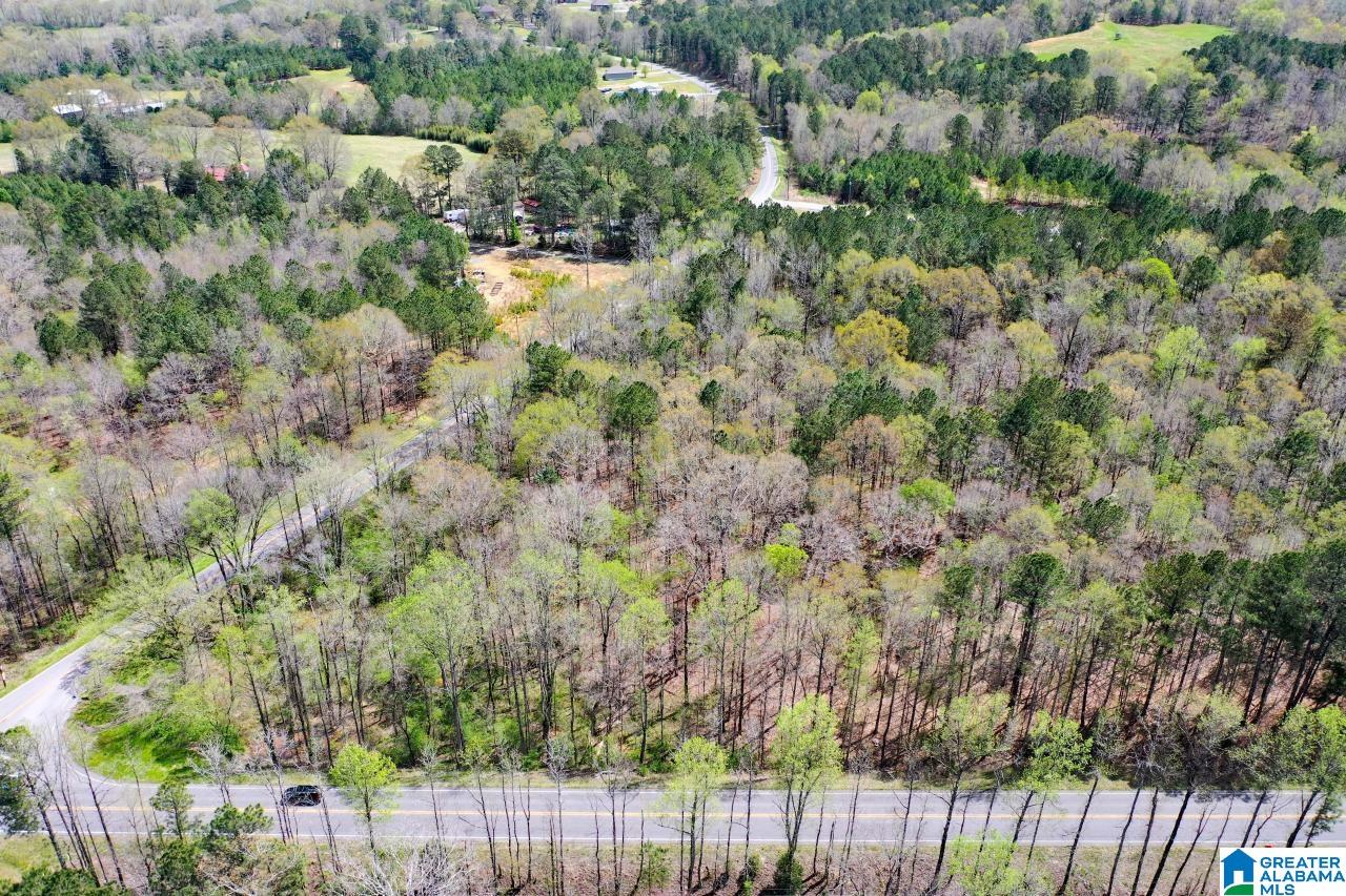 0 County Road 15 Locust Fork, AL 35097 - Photo 2 of 14