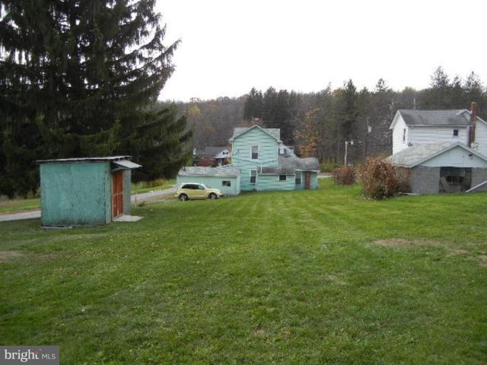 Back yard