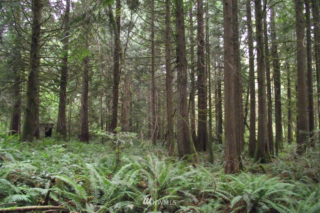 928-27 Logan Hill Road Chehalis, WA 98532 - Photo 20 of 20