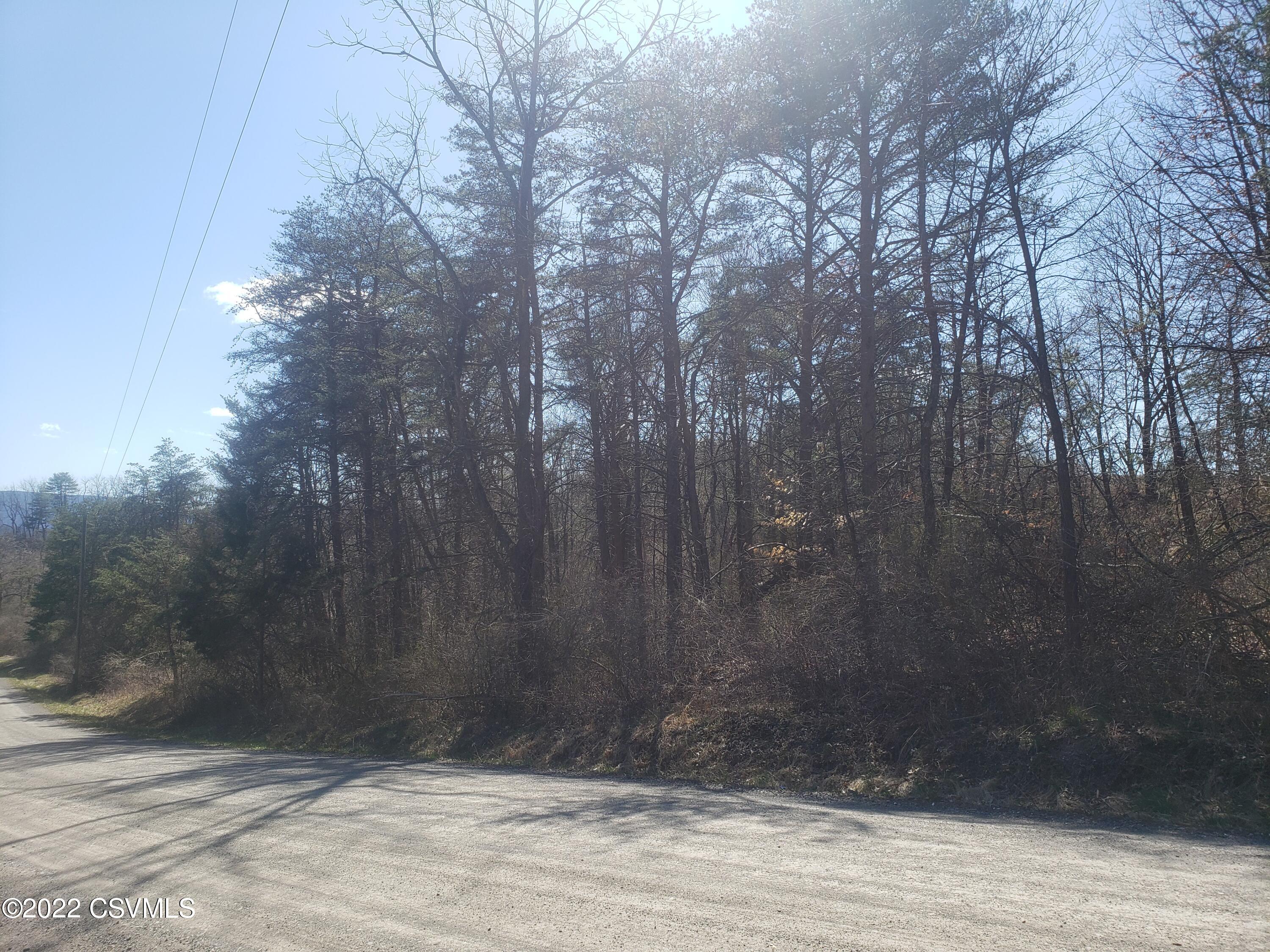 Lot#2 Shale Pit Road Beaver Springs, PA 17812 - Photo 2 of 8