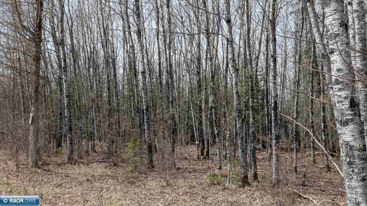 Lot 8 Lund Road Cook, MN 55723 - Photo 6 of 6