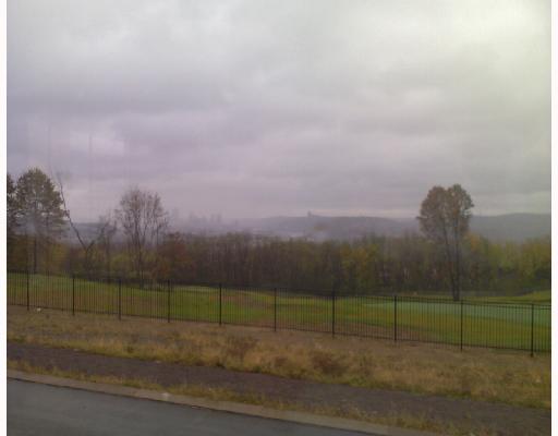 208 Pleasant Ridge Road McKees Rocks, PA 15136 - Photo 14 of 14 Other. Another view of golf course under construction - even on cloudy day, you can see city skyline . . . awesome!