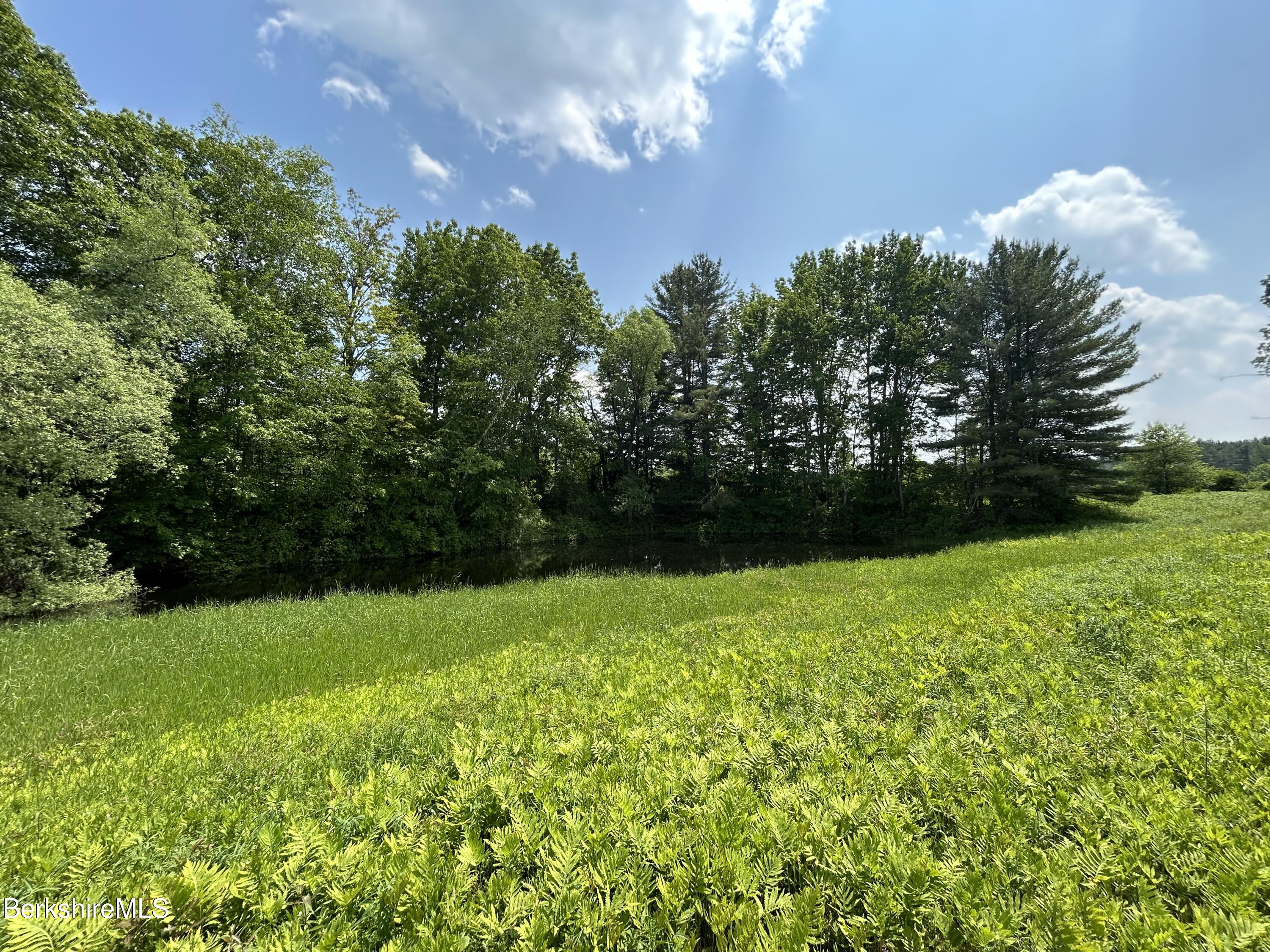 0 Swamp Road Richmond, MA 01254 - Photo 5 of 19 Private Pond