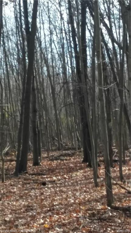 Eight West Eight Mile Road South Lyon, MI 48178 - Photo 11 of 58
