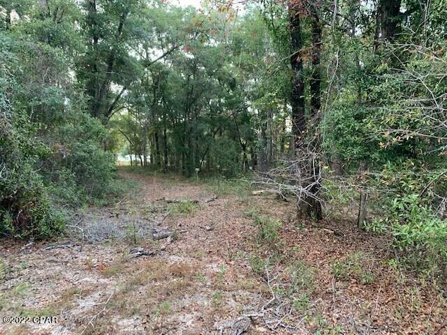 605 Mine Road Midway, FL 32343 - Photo 6 of 17 Gallery Image 6