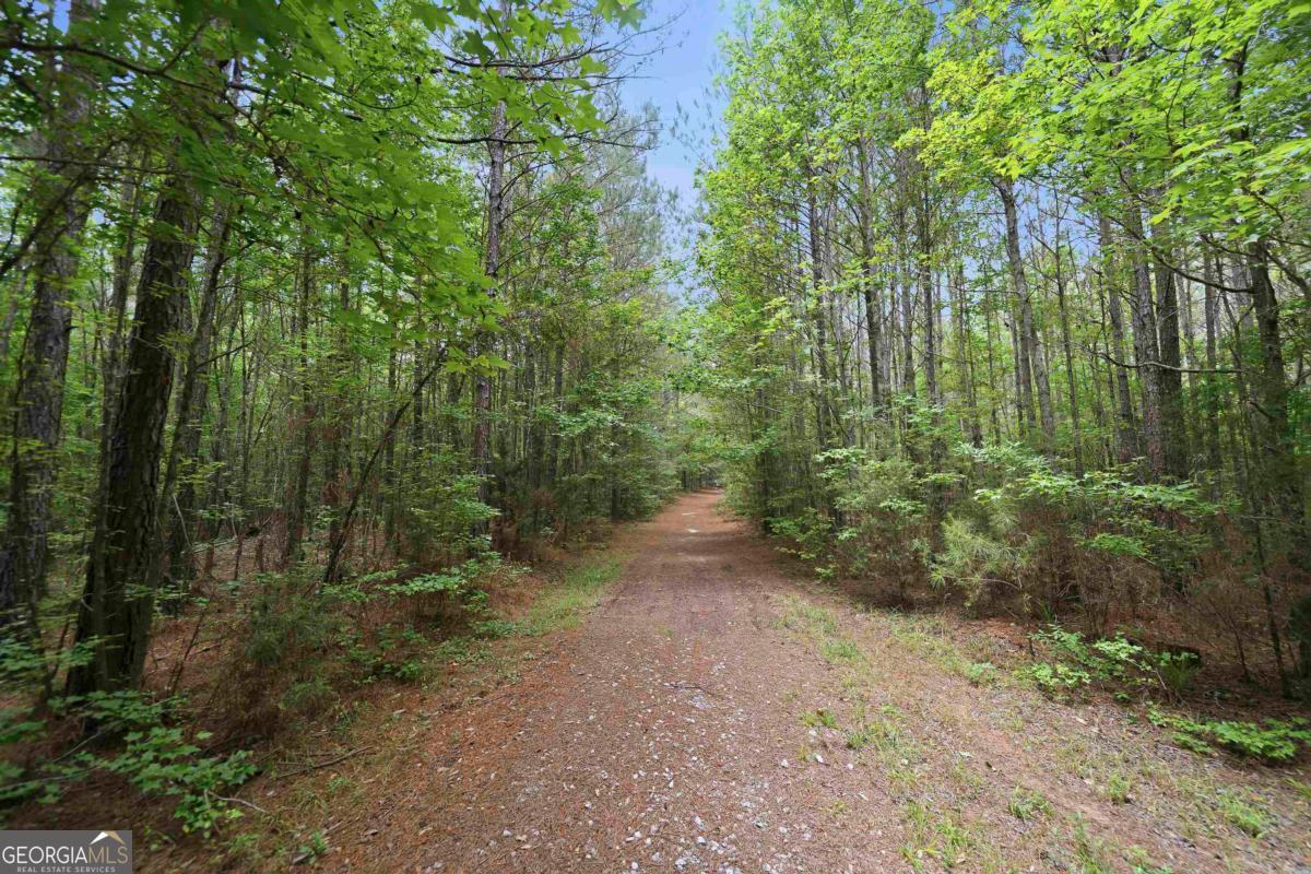 0 Pear Orchard Road Greensboro, GA 30642 - Photo 2 of 34