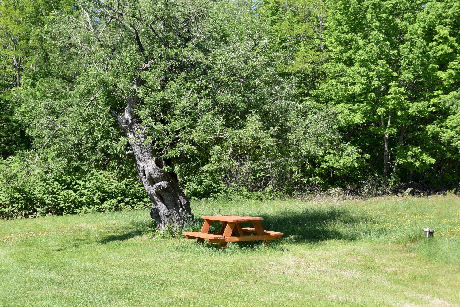 182 Sterry Hill Road Starks, ME 04911 - Photo 107 of 115 DSC_0026