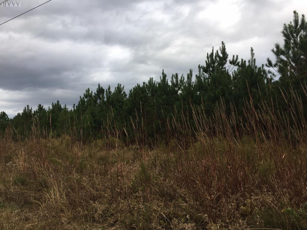 9 Medical Center Road Gates, NC 27937 - Photo 1 of 4 Main View