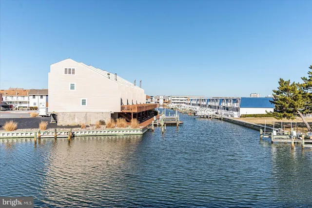 a view of a ocean with boats and palm trees
