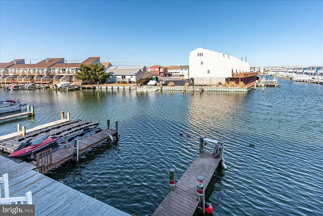 a view of a lake with boats and trees in the background