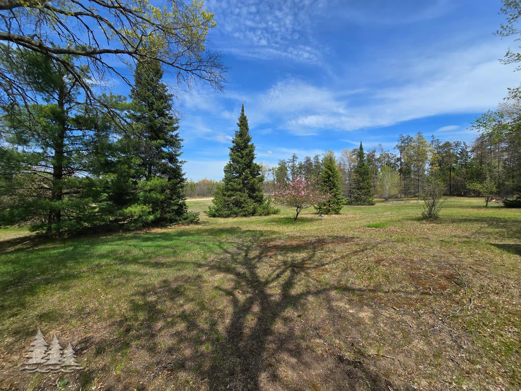 3557 Penn Road Lewiston, MI 49756 - Photo 4 of 58 Gallery Image 4