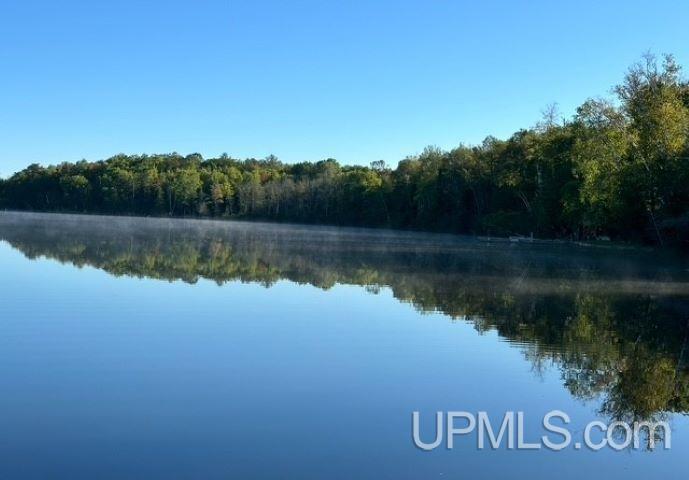 253 East Lake Emily Road Crystal Falls, MI 49920 - Photo 51 of 51
