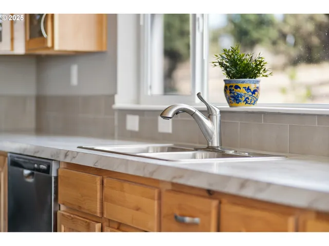 a kitchen with a sink and a potted plant